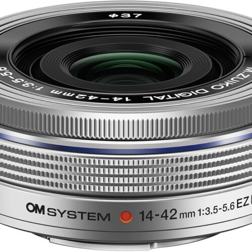 Olympus V321190BW000 19mm Wide Angle Conversion Fixed Lens